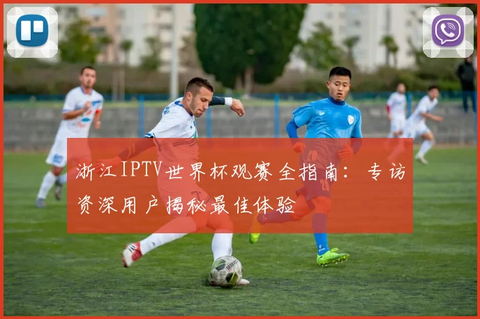 浙江IPTV世界杯观赛全指南：专访资深用户揭秘最佳体验