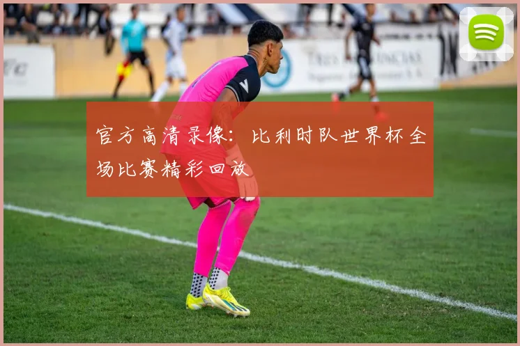 官方高清录像：比利时队世界杯全场比赛精彩回放