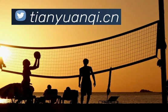 云开体育官网平台生态图