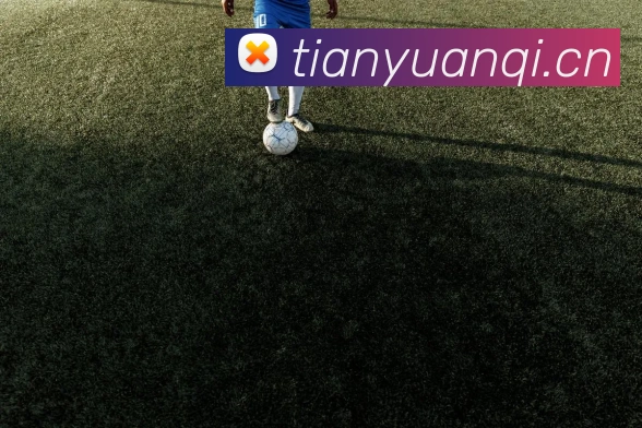 数据分析功能