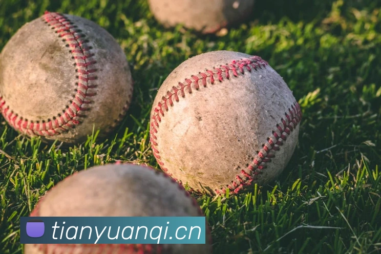 云开体育官网APP 封面图